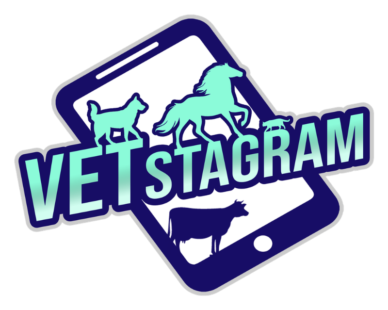 VETstagram